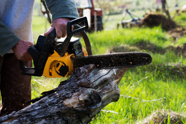 Best Hazardous Tree Removal  in Kennedy, CA